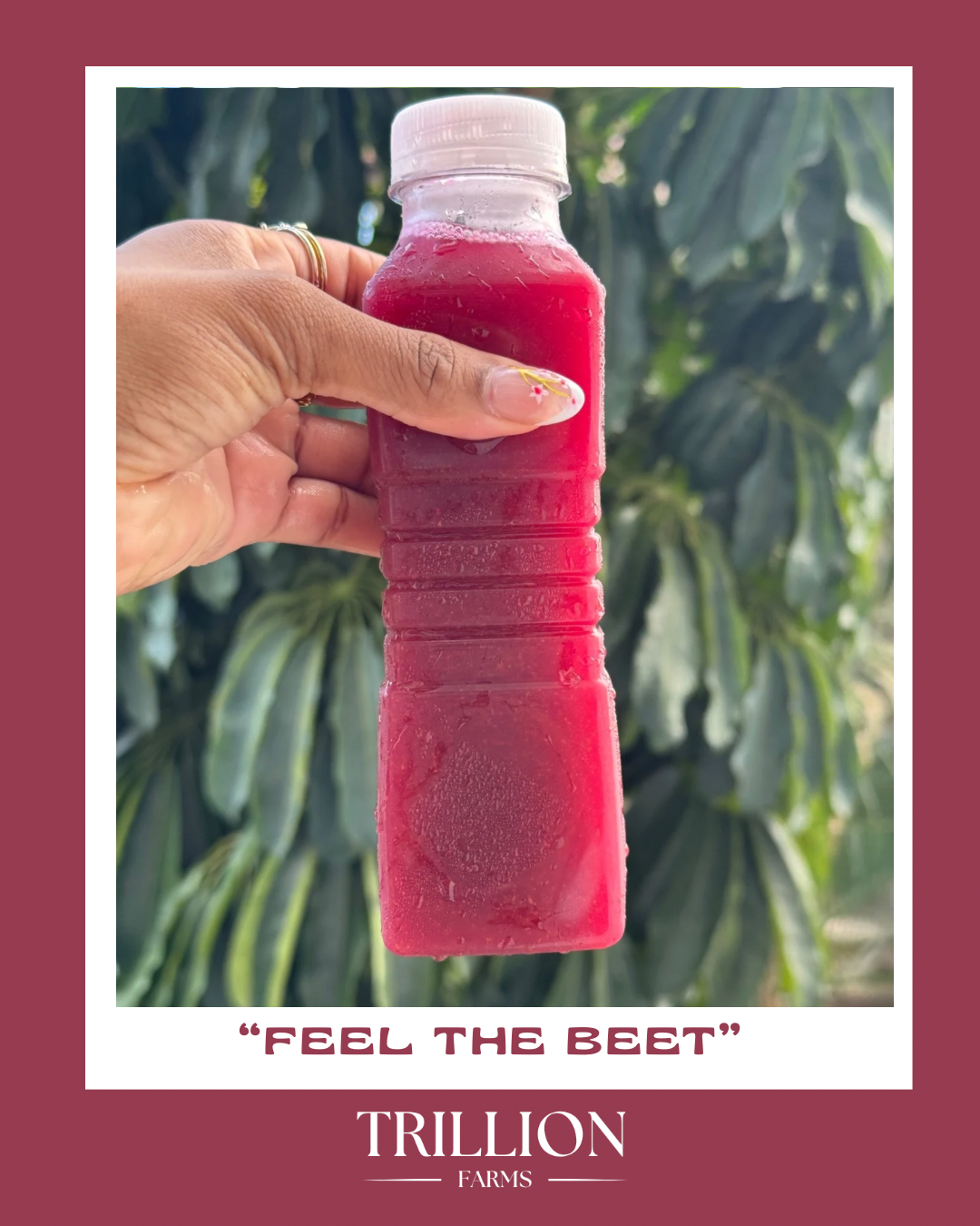 Feel The Beet